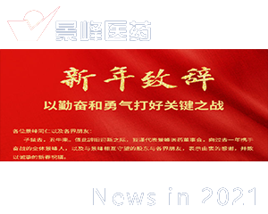 2021年AG电游医药新春致辞